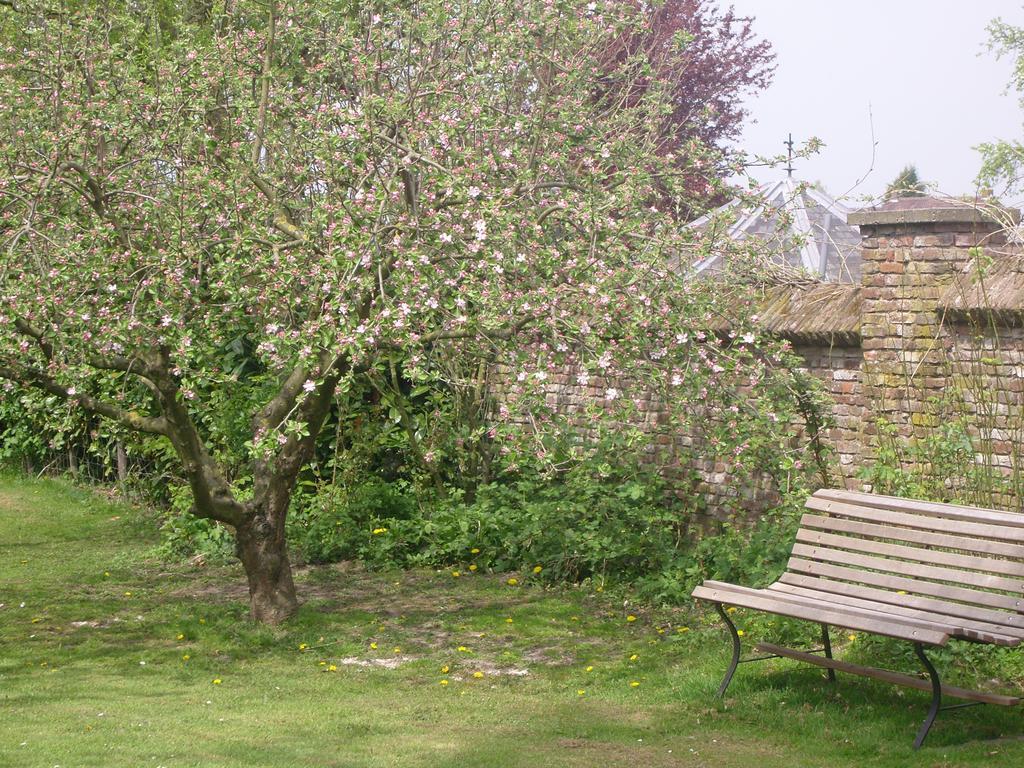 阿珀尔特伦住宿加早餐旅馆 Appeltern 外观 照片